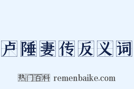 卢陲妻传反义词是什么意思的图片